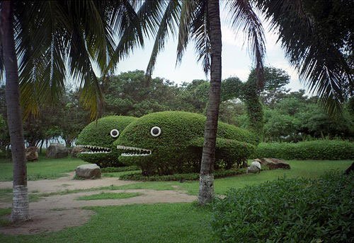 [Landscape-Design-06.jpg]