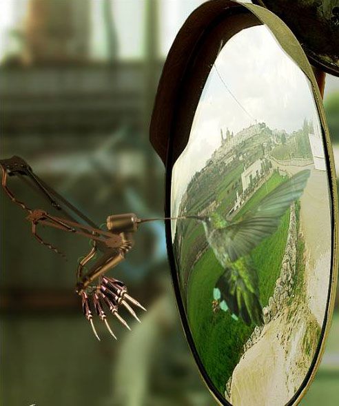 [creative-reflections-04.jpg]