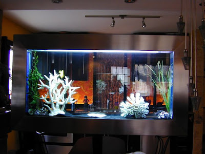 fish aquarium design fish aquarium design