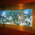 Home Fish Aquarium Designs