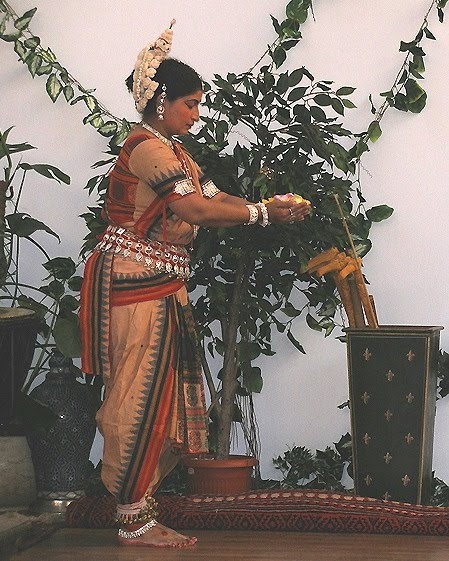 [indian-dance-costumes-25.jpg]