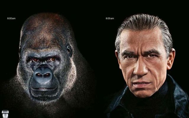 [evolution-funny-pictures-16.jpg]