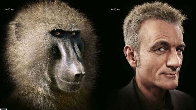 [evolution-funny-pictures-18.jpg]