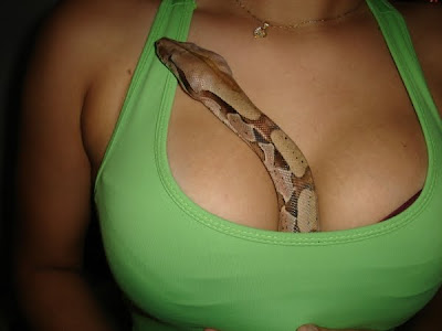 http://4.bp.blogspot.com/_ax5ZIdFoW1U/SsB9PZ8E3LI/AAAAAAAAYCE/Y00f6z3QqYs/s400/snake-girls-11.jpg
