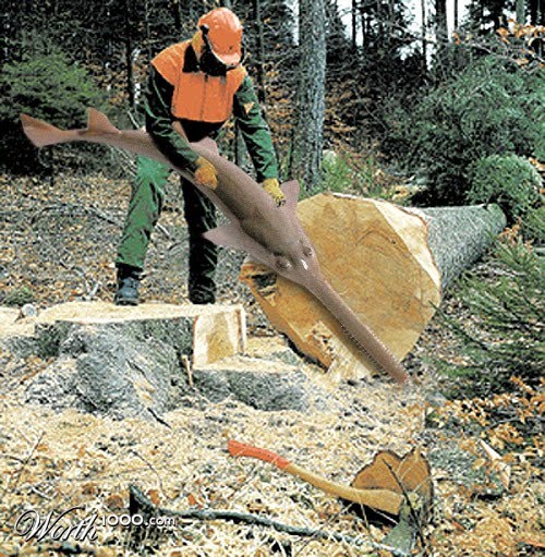 [fishy-photoshopped-28.jpg]