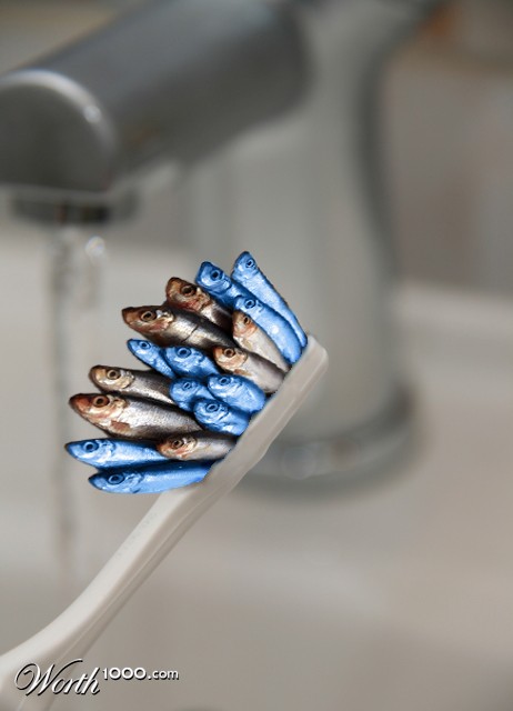 [fishy-photoshopped-05.jpg]
