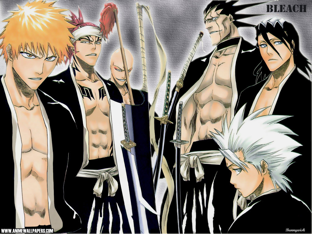 Bleach Soul Reaper