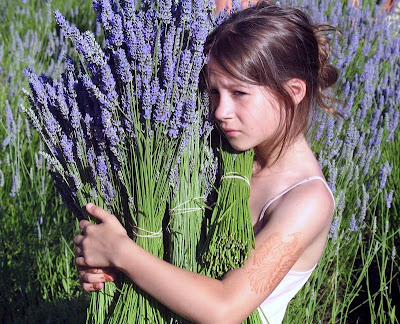 Girl+at+Lavender+Harvest.jpg