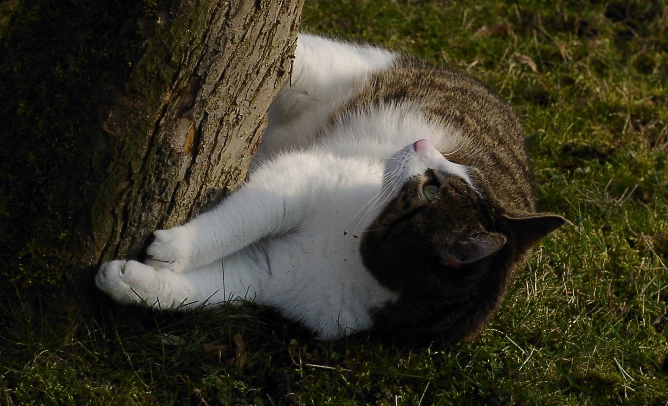 [P3030301x.JPG]