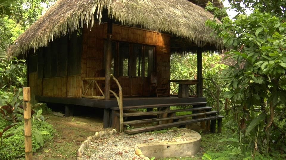 Davidsbeenhere Cotococha Amazon Lodge Tena, Ecuador