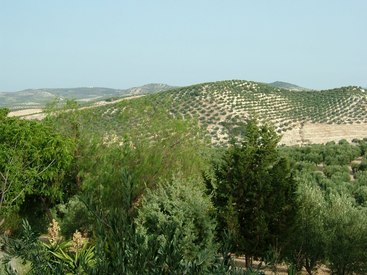 [CASA+CAMPO+2.JPG]