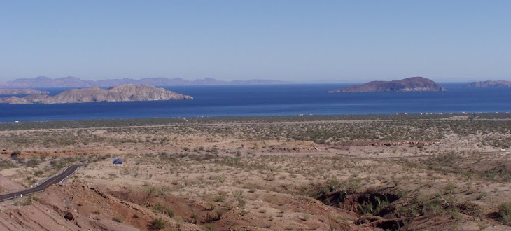 is baja california safe 2014 crack