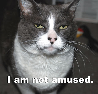 robinamused.jpg