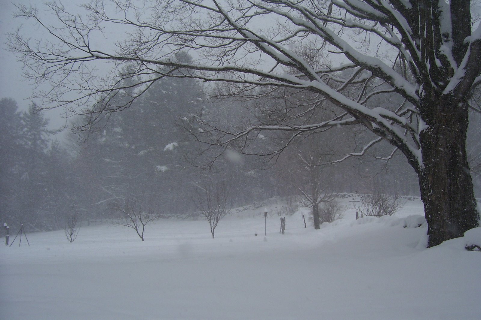 [Winter+2008+139.jpg]