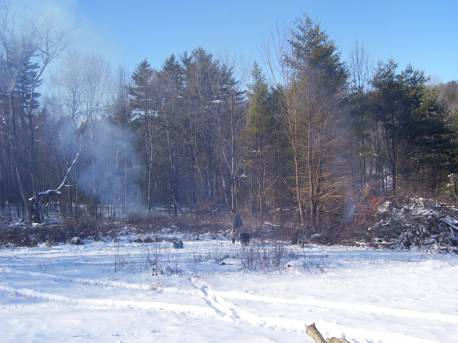 [winter+06+062.jpg]