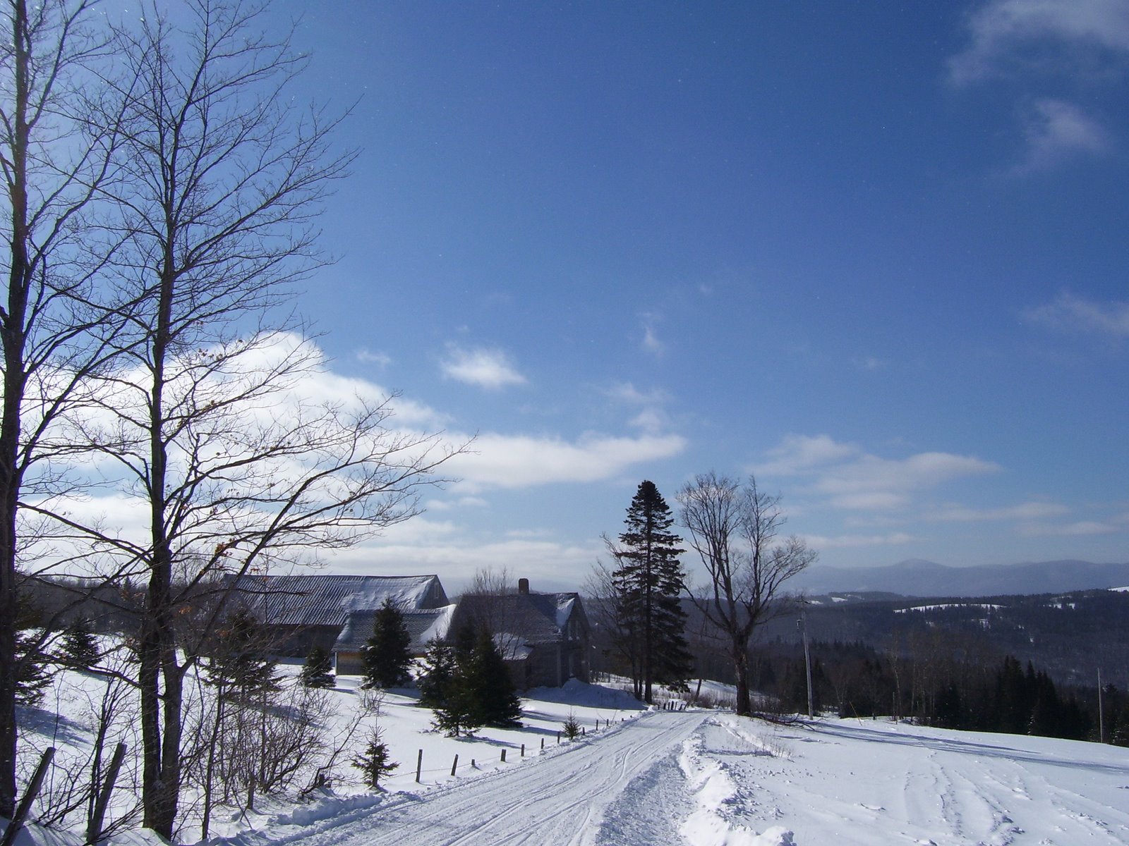 [Colebrook+07+063.jpg]