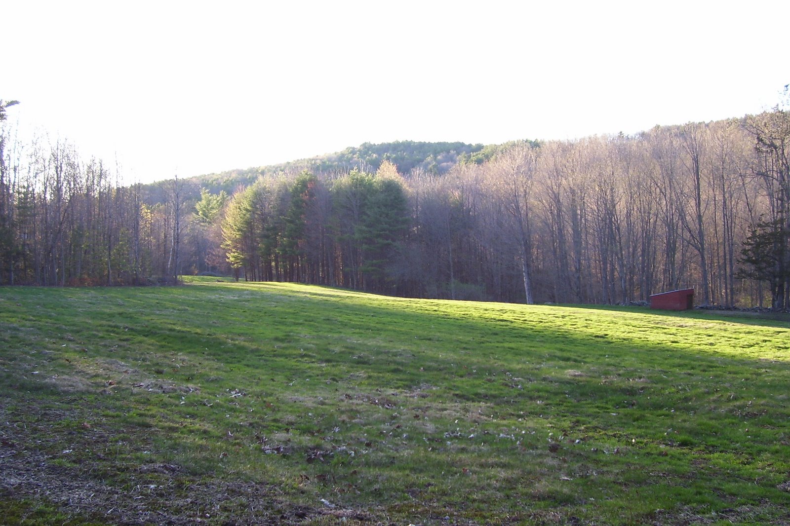 [Spring+07+225.jpg]
