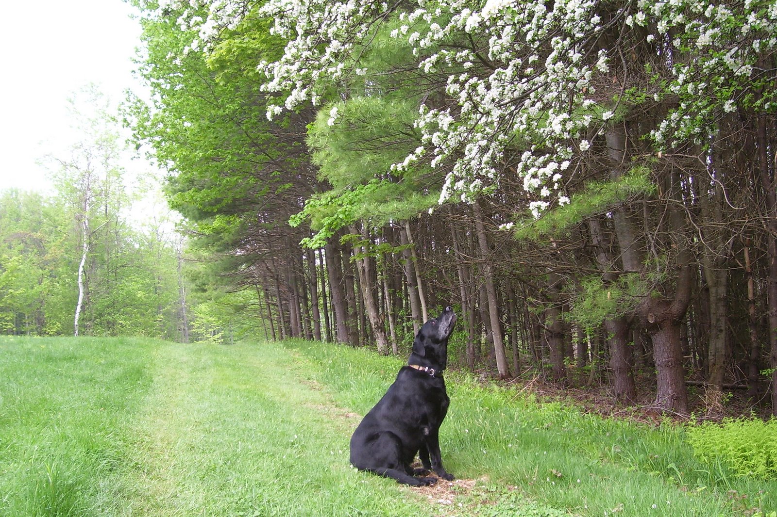 [Spring+07+247.jpg]