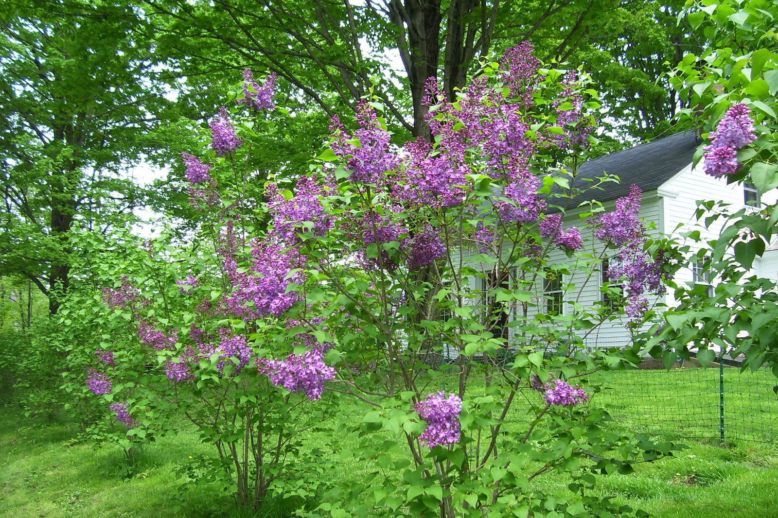 [Spring+07+253.jpg]