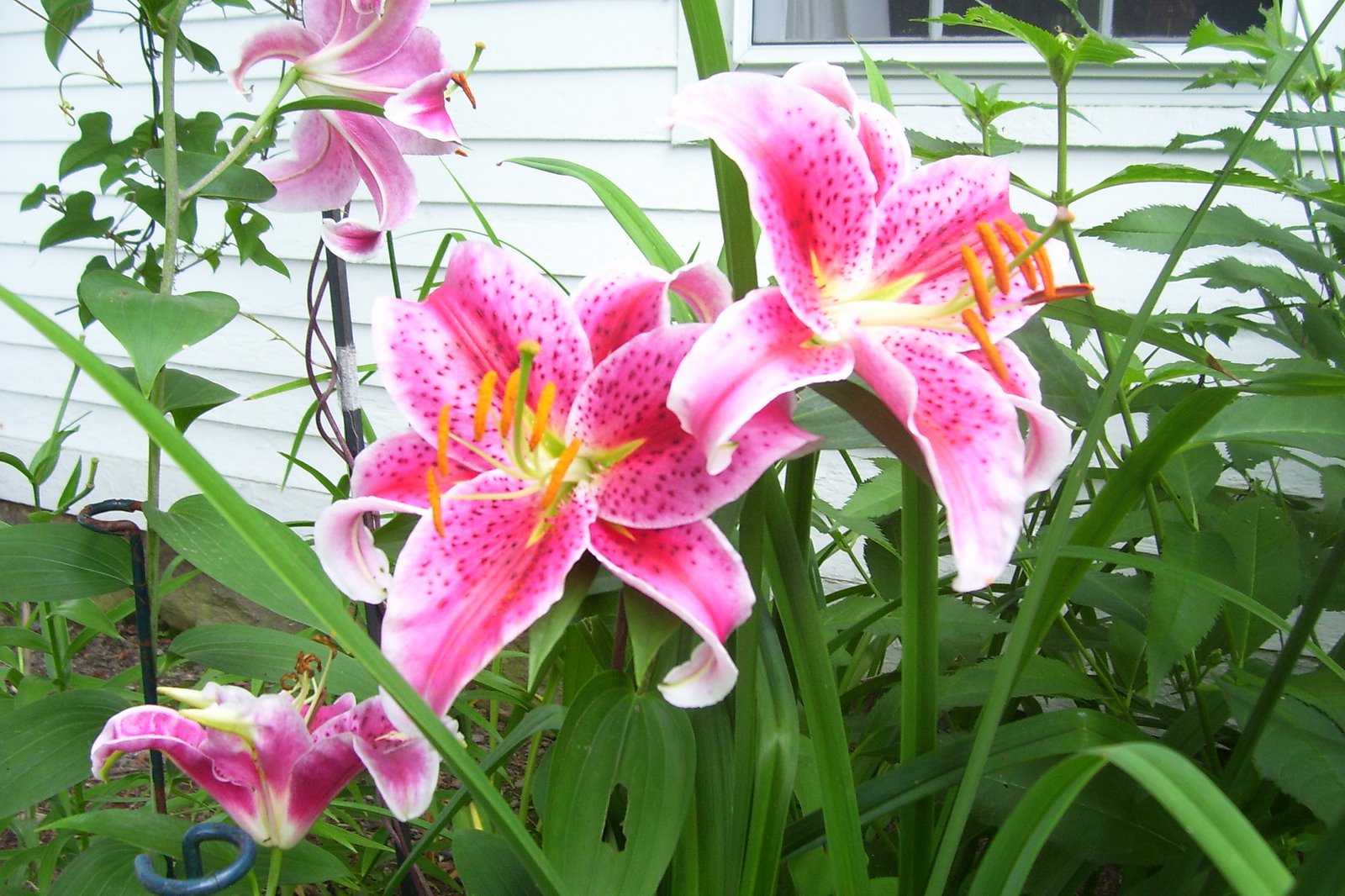 [Summer+07+039.jpg]