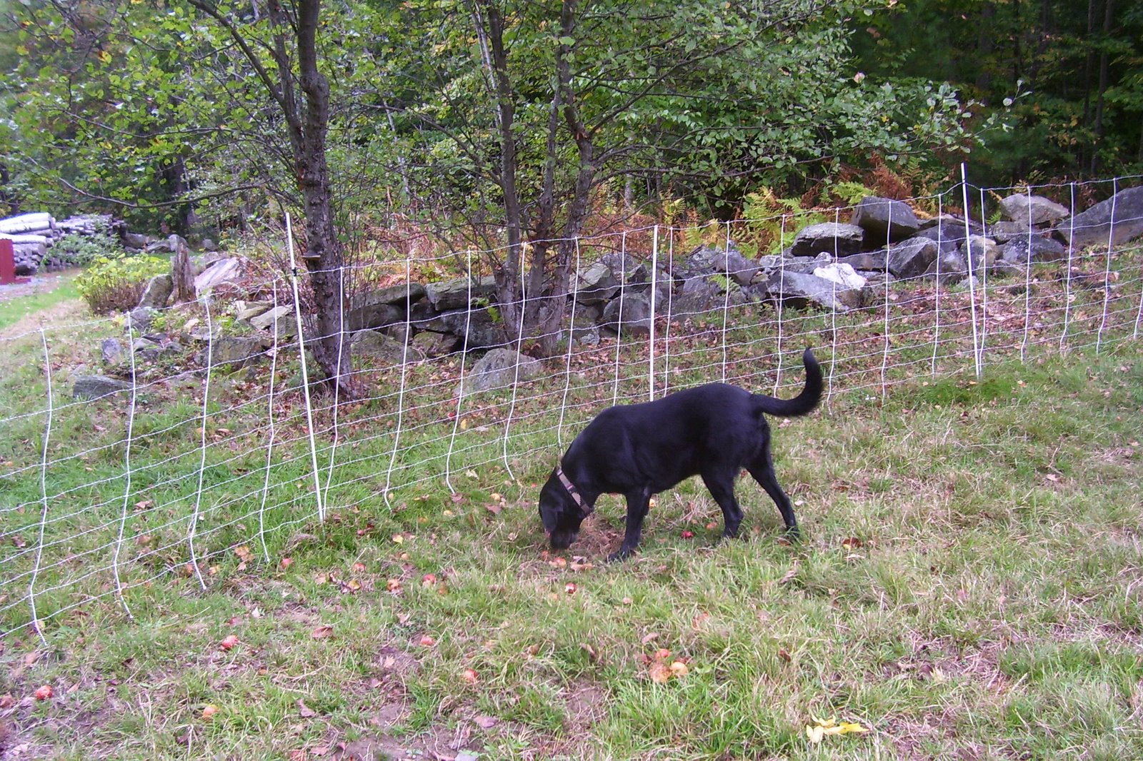 [Fall+2007+037.jpg]