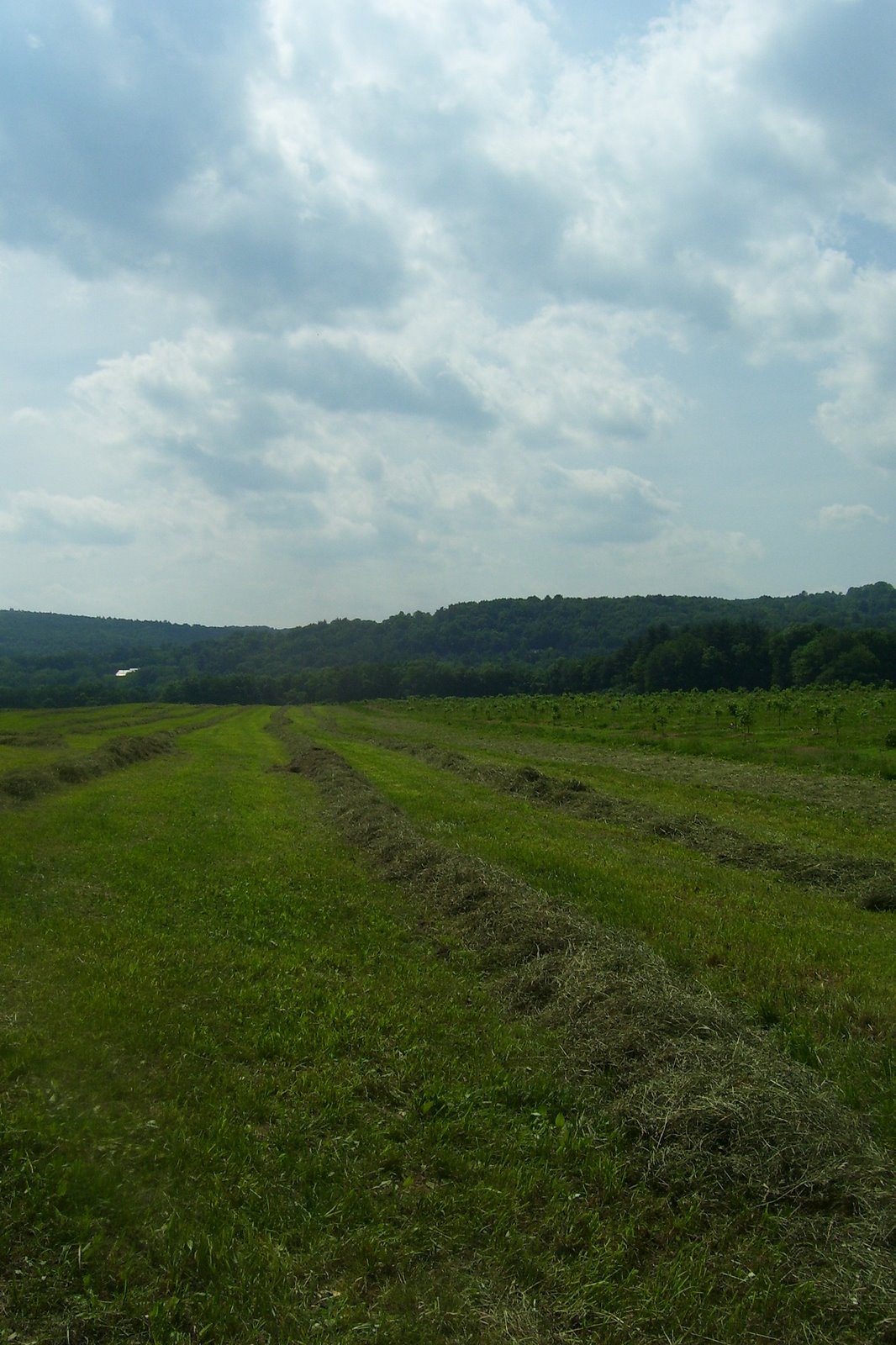 [Spring+2008+208.jpg]
