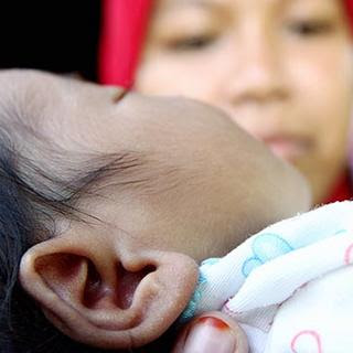 Cuping telinga tertera kalimah Allah Cuping telinga tertera kalimah Allah