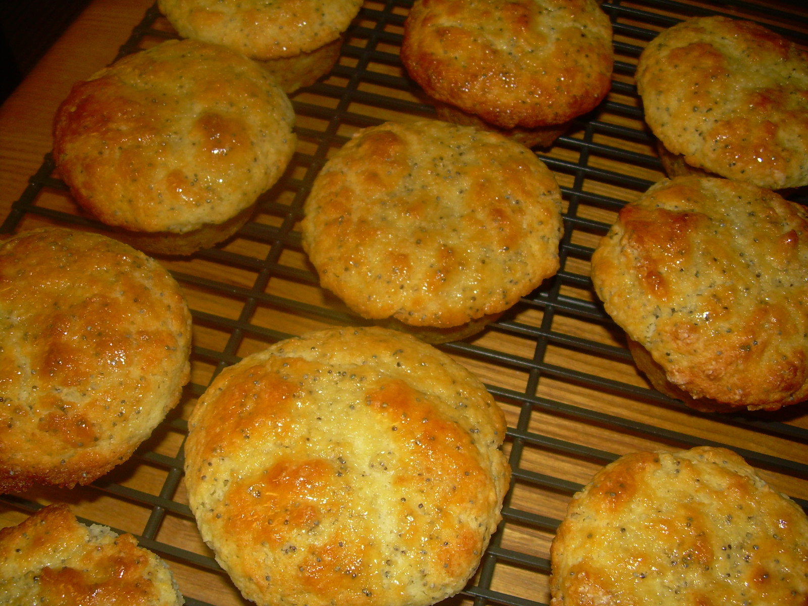 beautiful muffins