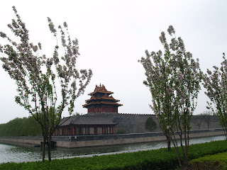 Cherry blossoms and the Forbidden City