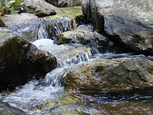 Stream at the Golden City