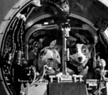 50 años de Strelka y Belka