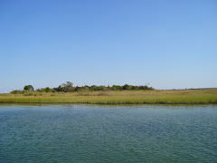 Out in the sound