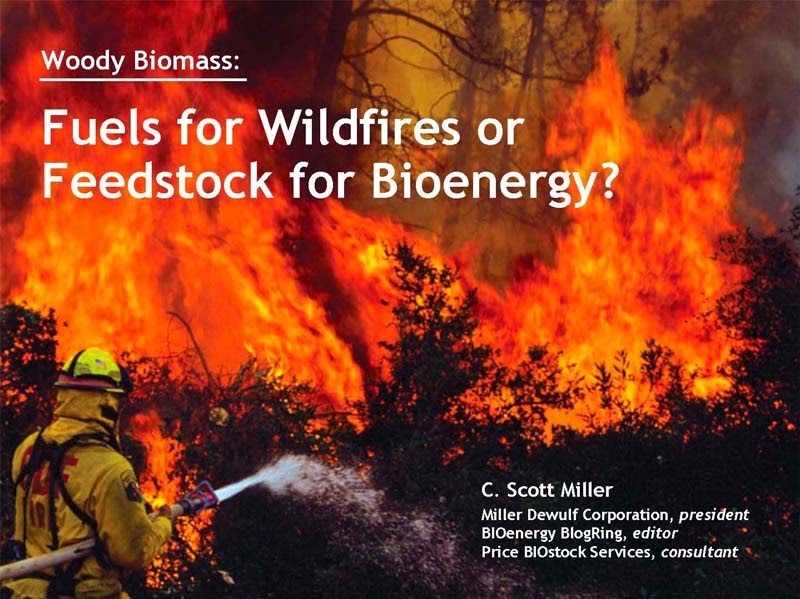 BIOstock Blog Woody Biomass Fuel for Wildfires