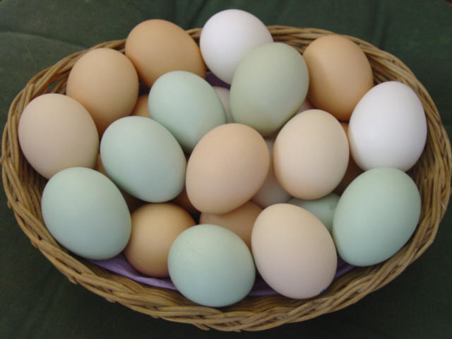 ate carbs and eggs