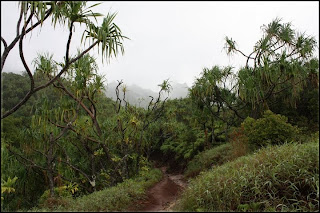 Muddy trail