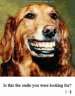 smiling+dog.gif