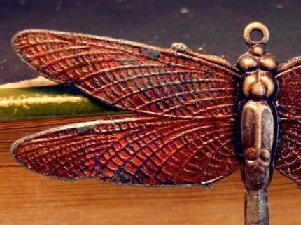 [Midnight+Blue+Dragonfly.jpg]