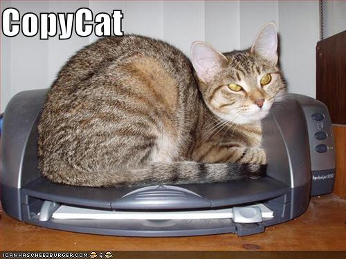 copycat128529544001093750.jpg