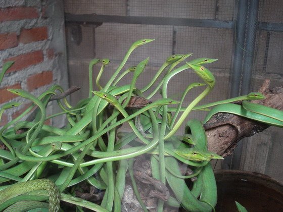 [DSC09953_resize_resize.JPG]