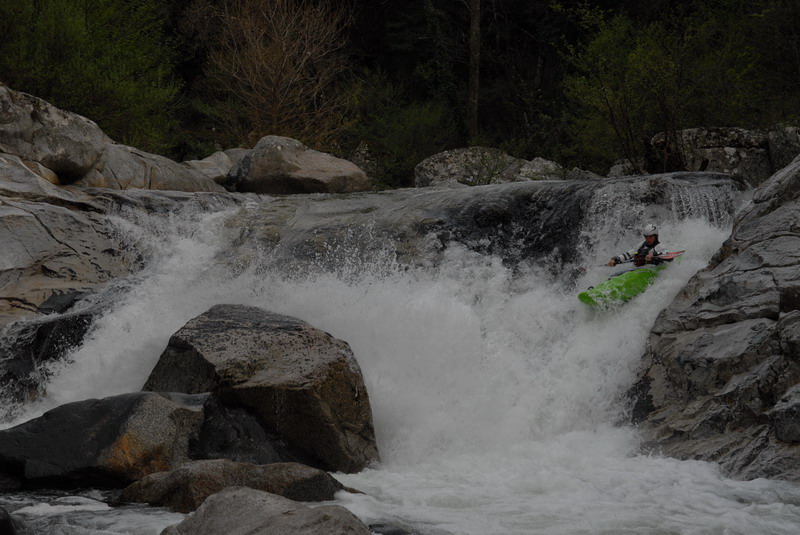 [upper+riz4_resize.JPG]