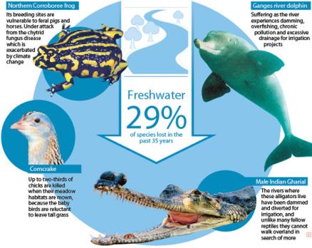 [environmentgraphic2_28312g.jpg]
