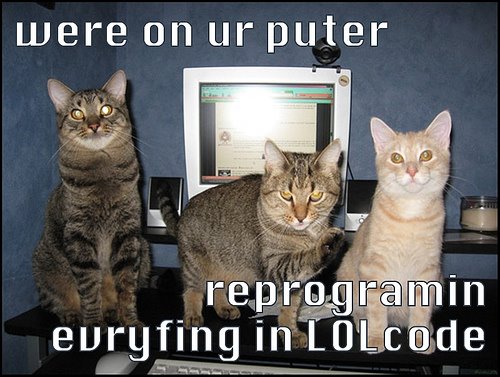 [lolcat38.jpg]
