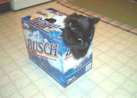 [Redneck+Pet+Carrier.jpg]