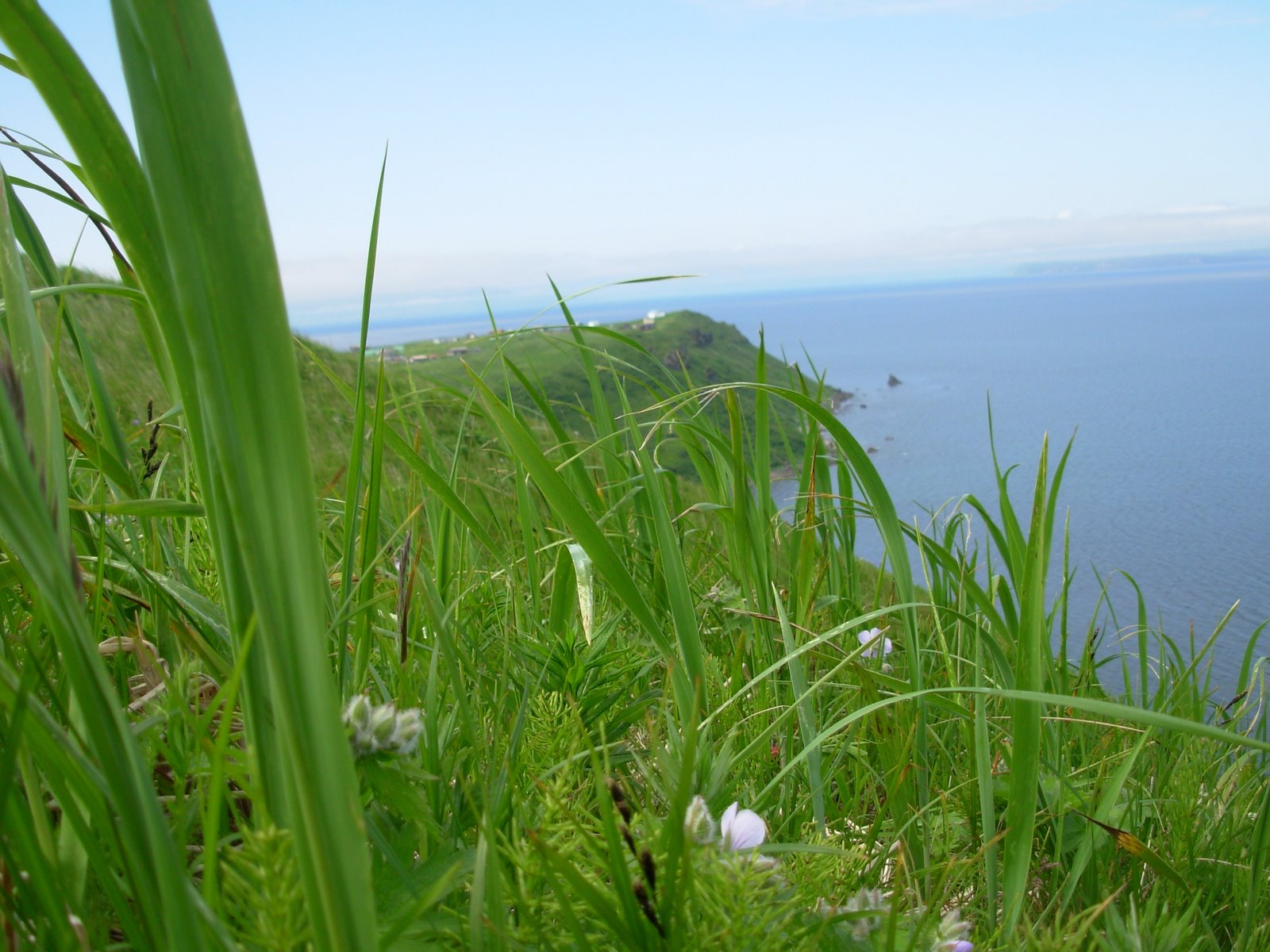 [DSCN0410.JPG]
