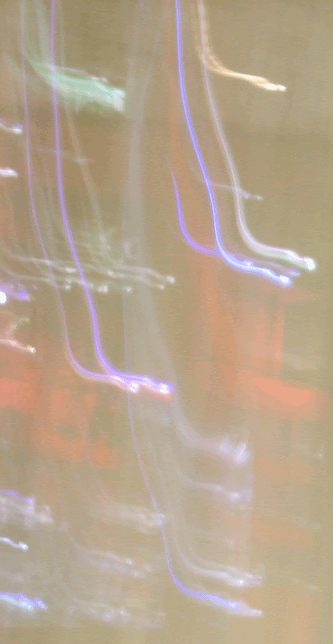 [b5.gif]