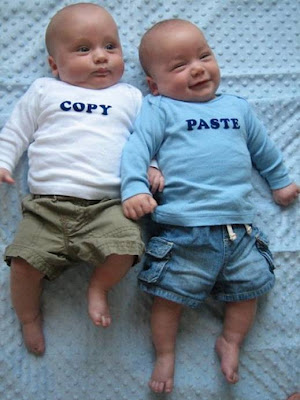 How Twins are Made.