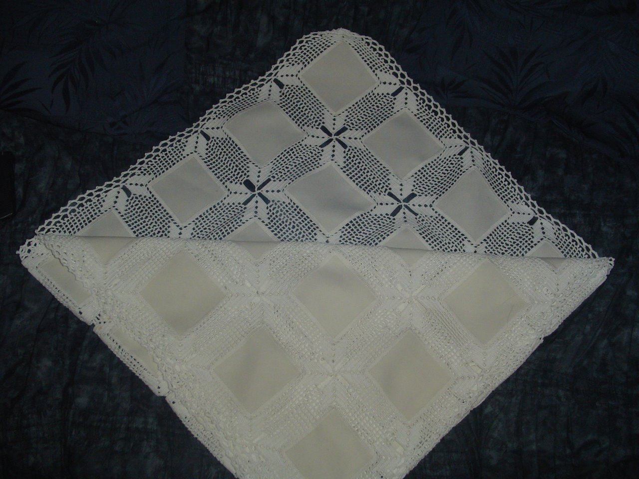 [DSC08251.JPG]