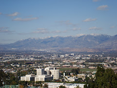 Loma Linda University