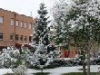 IES La Serna