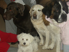 The Boys